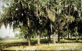 Friends of Margaret Place Donation